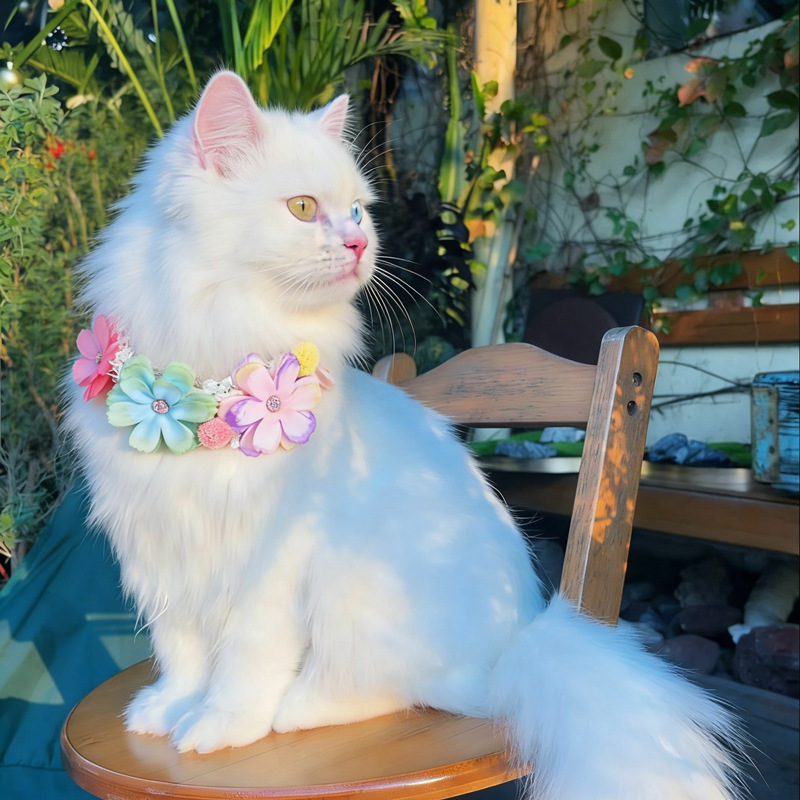 ゴージャスなカラフルな花のペットの首輪猫ネックレス調節可能な - Photography Basics のレビューと価格